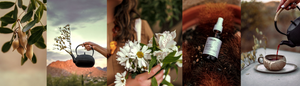Self-Care Is Your Birthright: How Holistic Mentorship Transforms Mind, Body & Soul